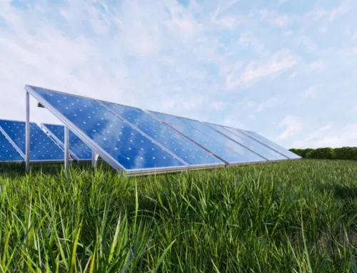 Paneles solares en granjas